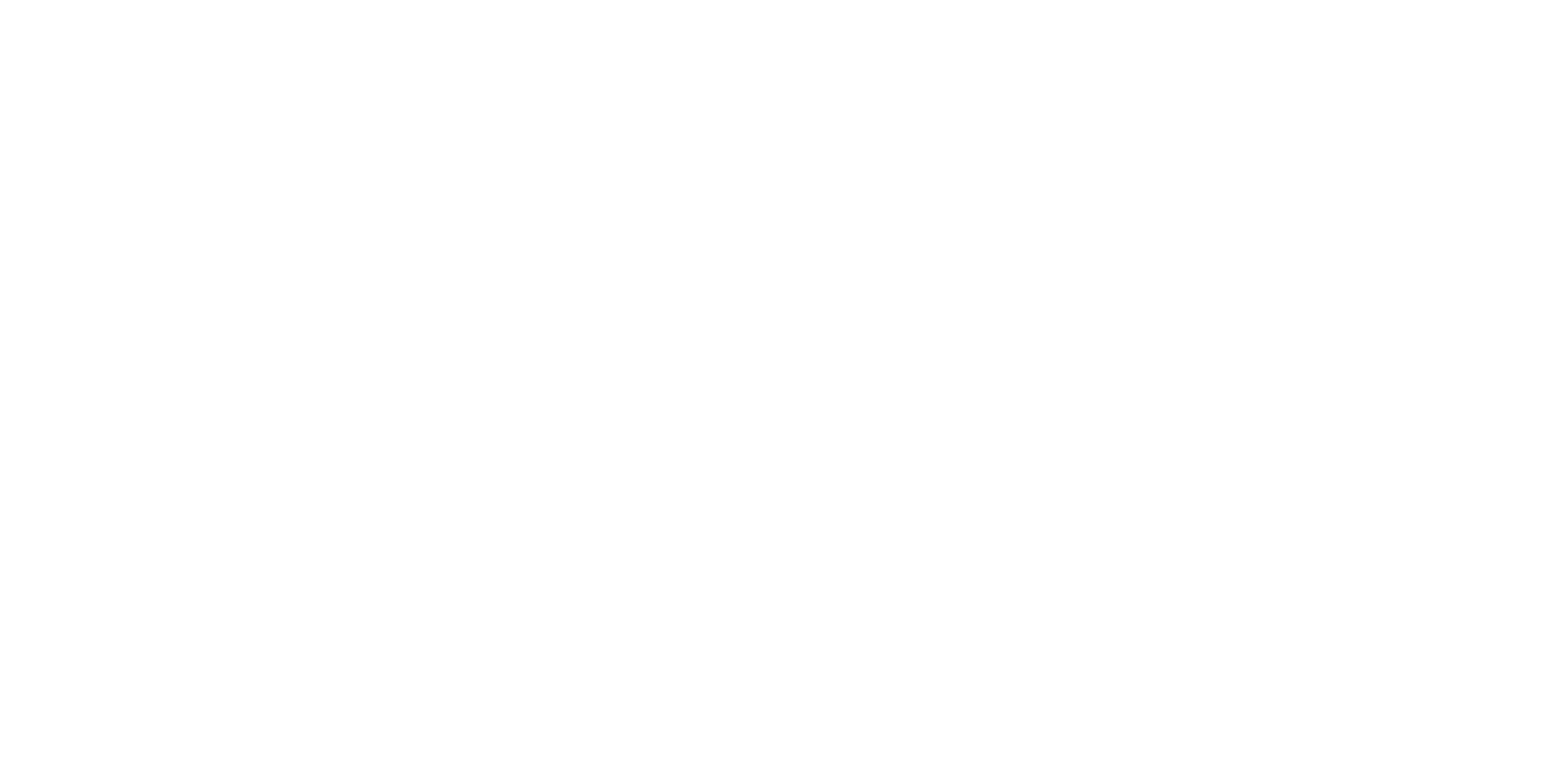 zaldutrail---logo_blanco